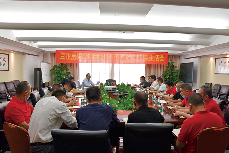 三正房地产党支部召开2021年度组织生活会.jpg